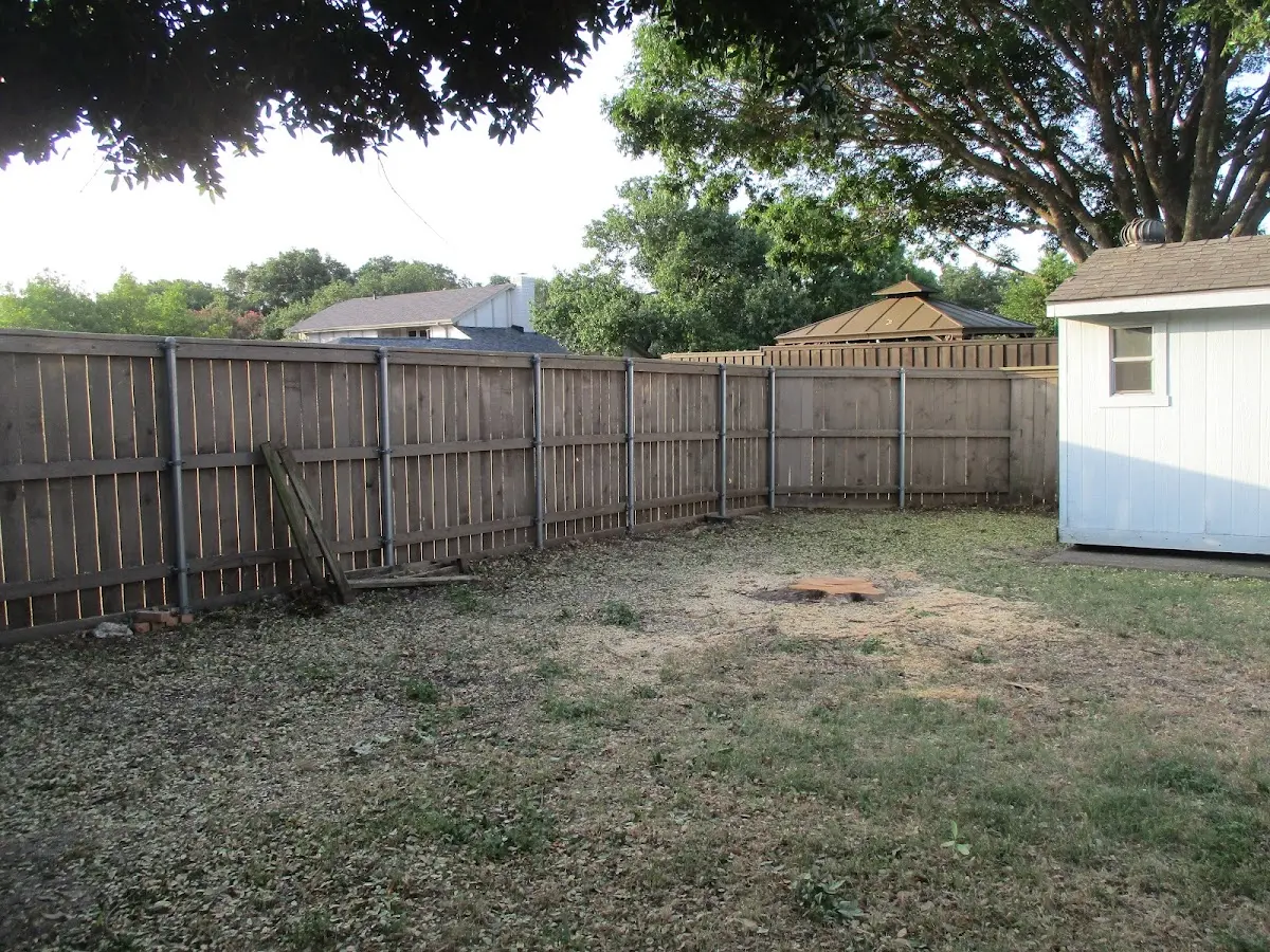 Cleared yard after professional tree removal in Tripoli